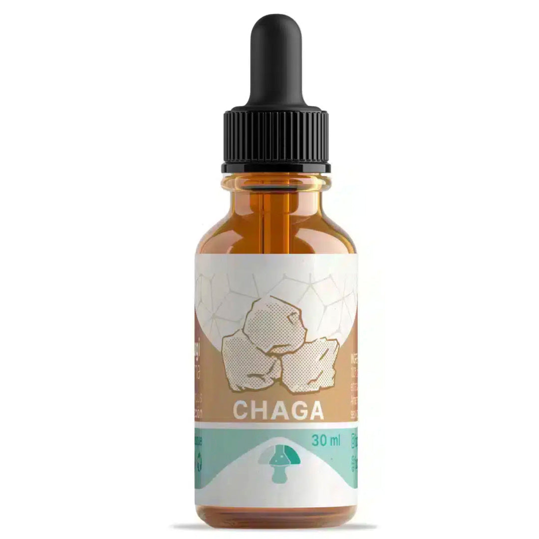 CHAGA FUNGI PHARMA-Vitaminas,salud-One Nutrition-FUNGI PHARMA