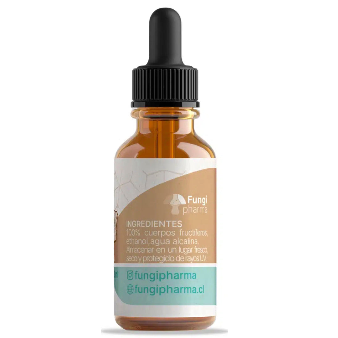 CHAGA FUNGI PHARMA-Vitaminas,salud-One Nutrition-FUNGI PHARMA