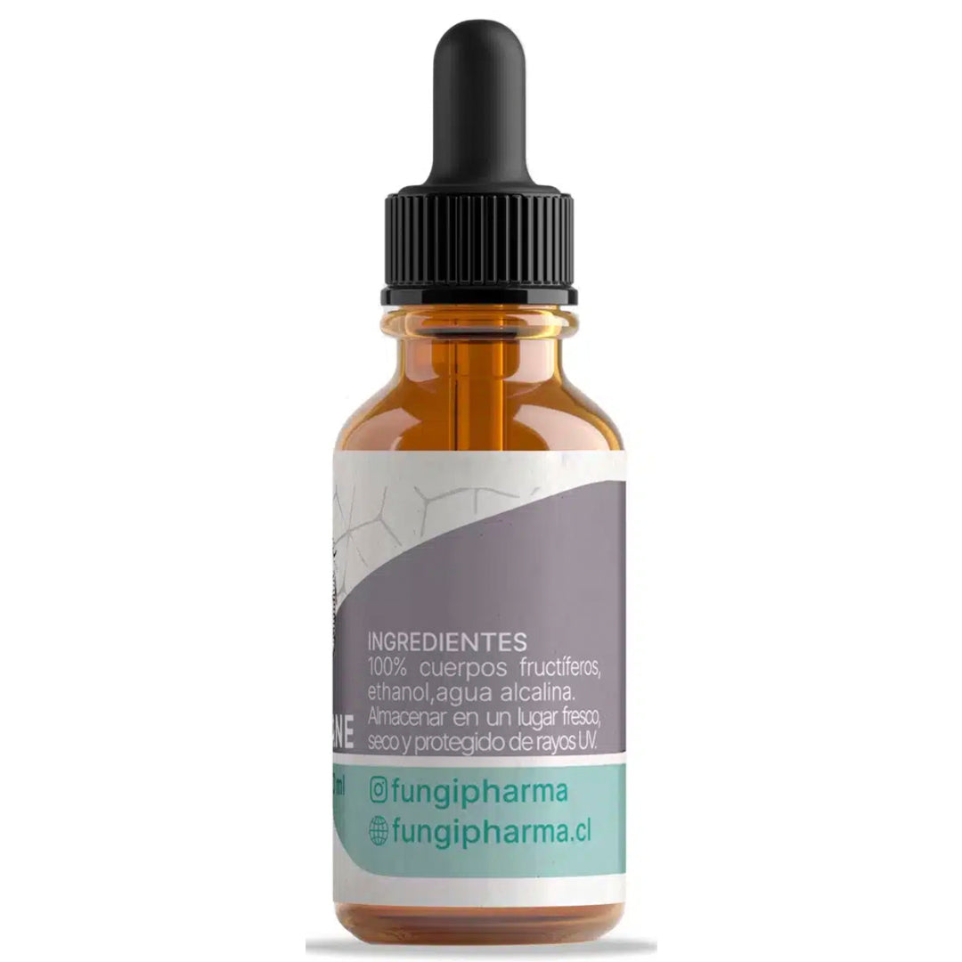 MELENA DE LEÓN (30 ml) FUNGI PHARMA-Vitaminas,salud-One Nutrition-FUNGI PHARMA