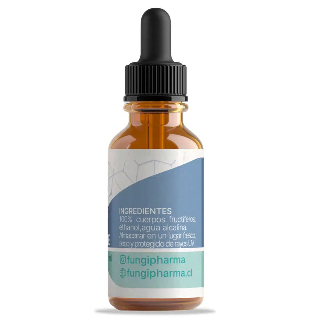 SHIITAKE FUNGI PHARMA-Vitaminas,salud-One Nutrition-FUNGI PHARMA