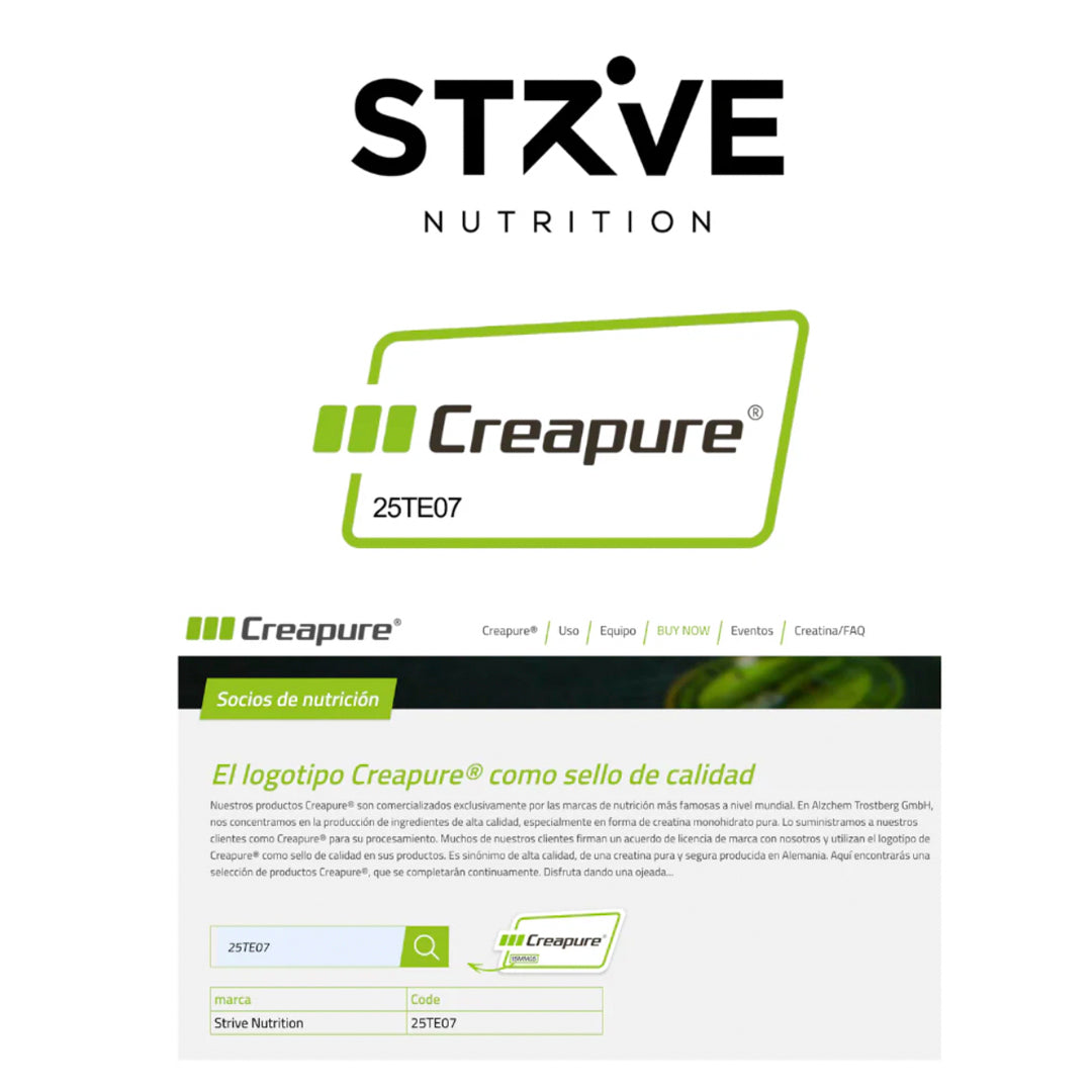 Creapure Creatina Monohidratada (300 Gr) Strive-Creatina-One Nutrition-STRIVE